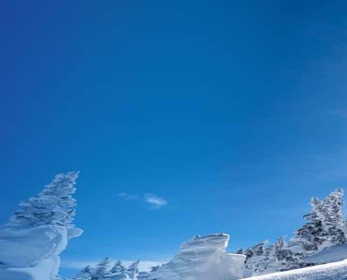 LTI Named Snowflake GSI Global Delivery Platform Partner of the Year