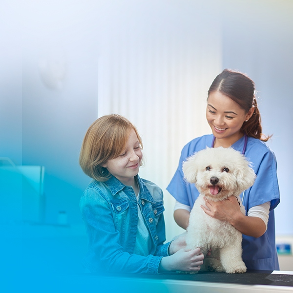 Built Security Infrastructure for a US-based Veterinary Services Provider leveraging Managed Threat Prevention Services