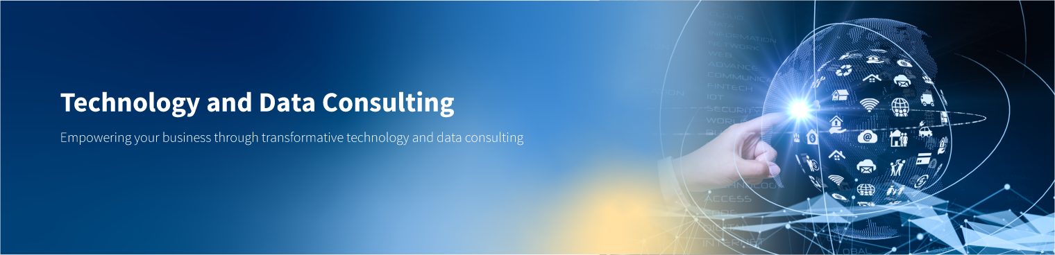Technology & Data Consulting