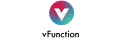 vFunction