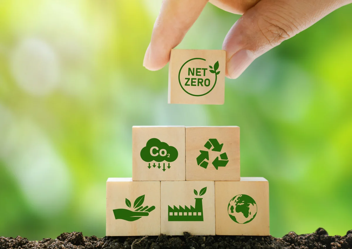 ESG and Sustainability Tech Consulting