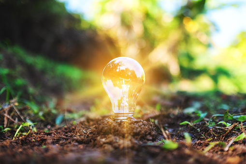 Energy Transition & Sustainability Trends Report 2025