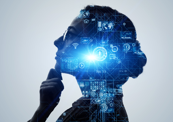 Technology Implementation Governance