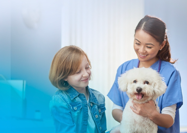 Building Security Infrastructure for a US-based Veterinary Services Provider