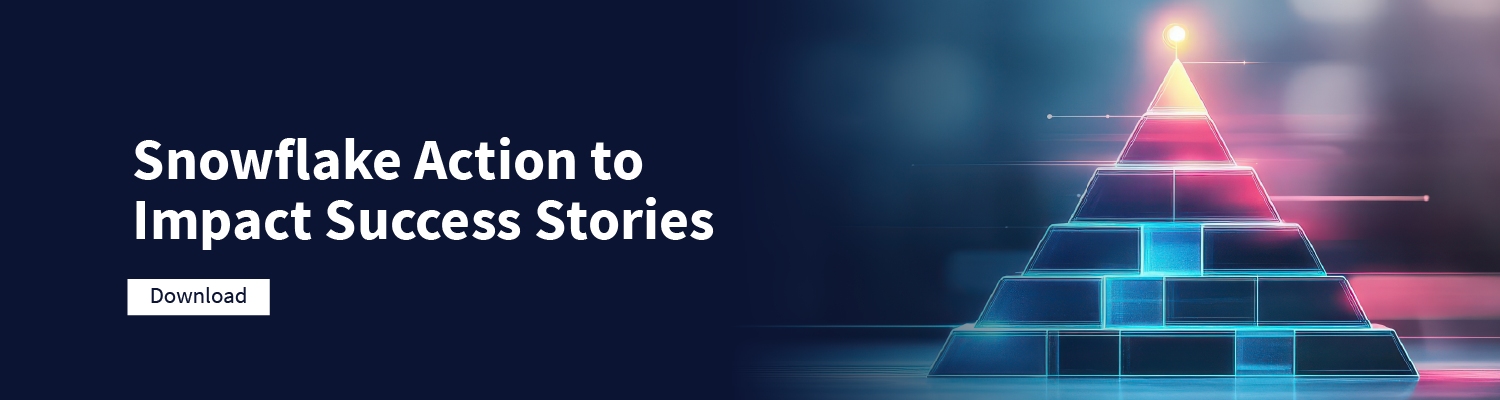 Snowflake Action to Impact Success Stories